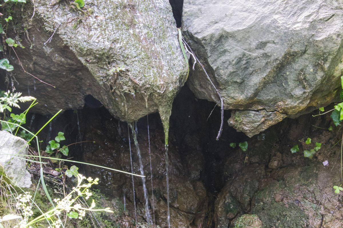 Biodiversità fuori dalla cava