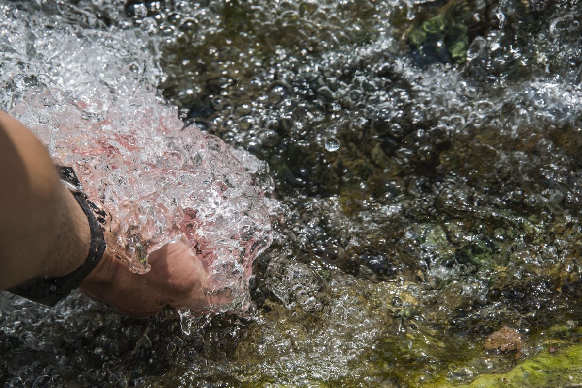 Biodiversità fuori dalla cava — foto 2