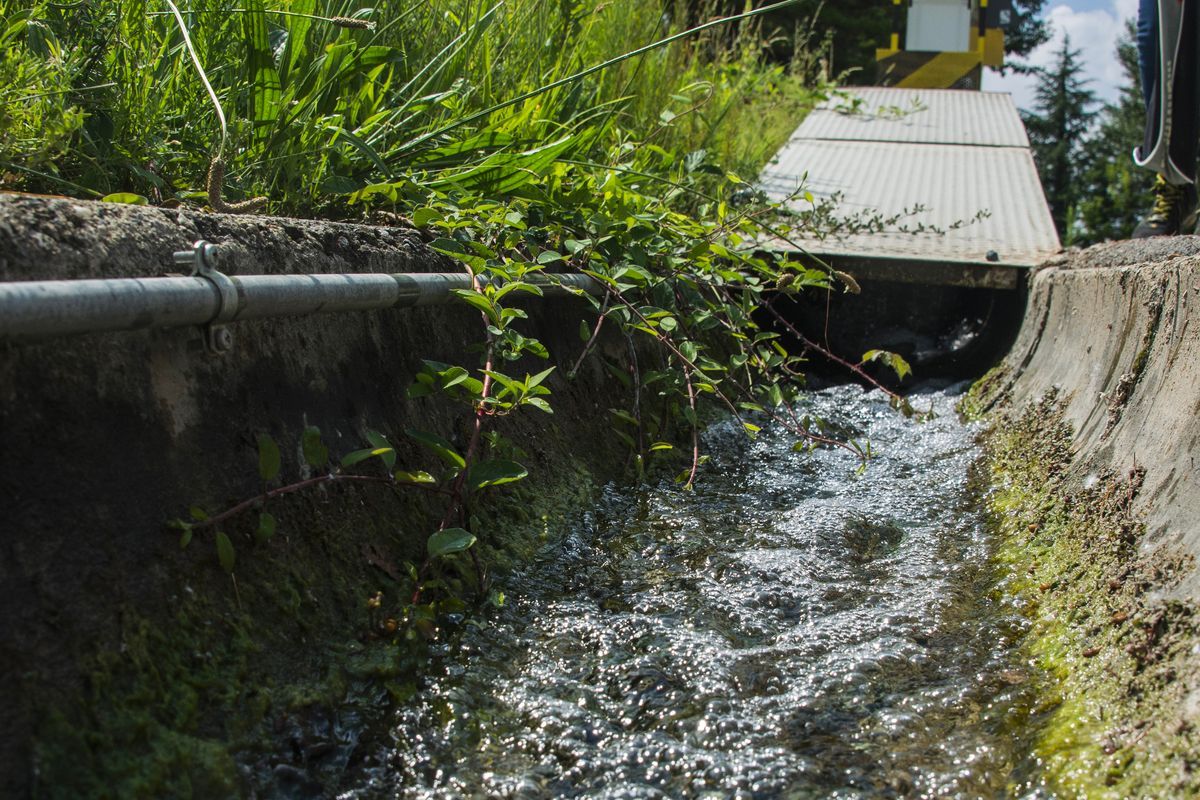 Biodiversità fuori dalla cava — foto 3