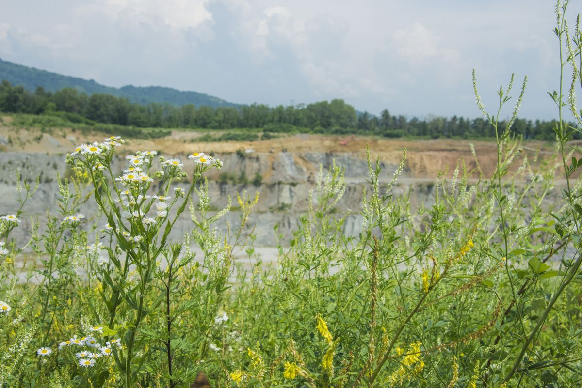 Il paesaggio e l'ambiente — foto 9
