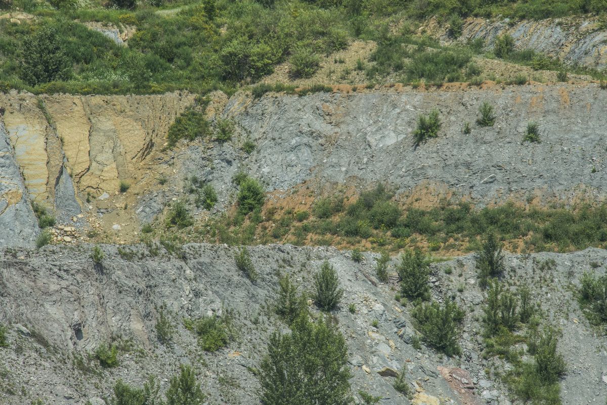 Il paesaggio e l'ambiente — foto 10