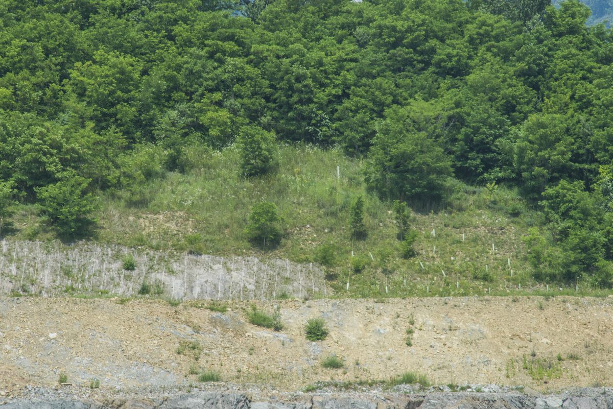 Il paesaggio e l'ambiente — foto 11