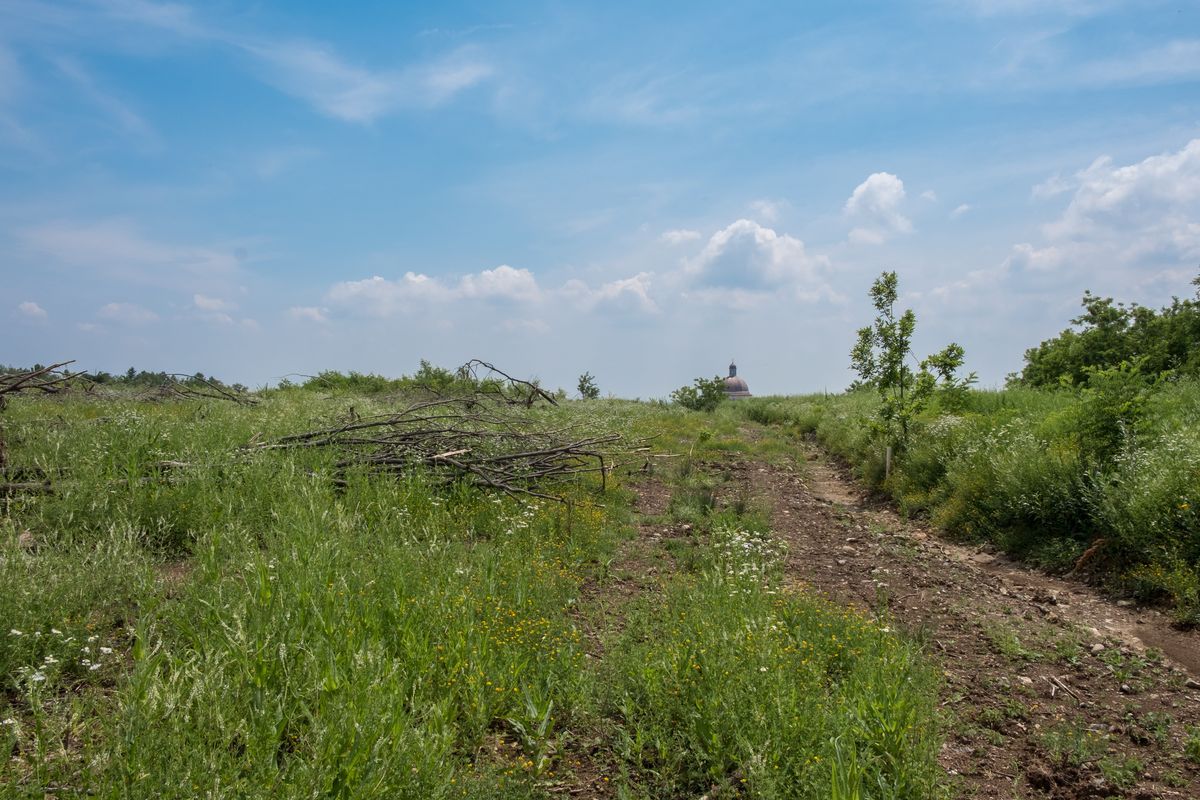 Il paesaggio e l'ambiente — foto 15