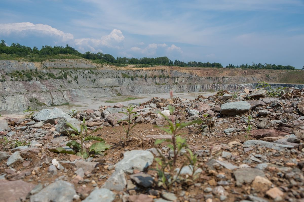 Il paesaggio e l'ambiente — foto 18