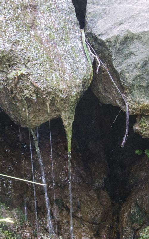 Biodiversità fuori dalla cava