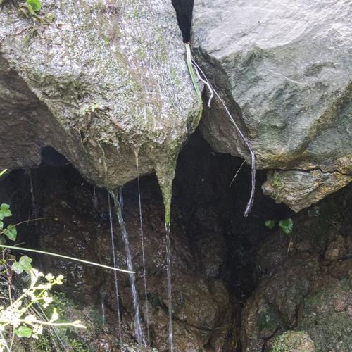 Biodiversità fuori dalla cava