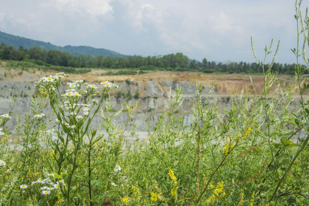 Il paesaggio e l'ambiente — foto 9