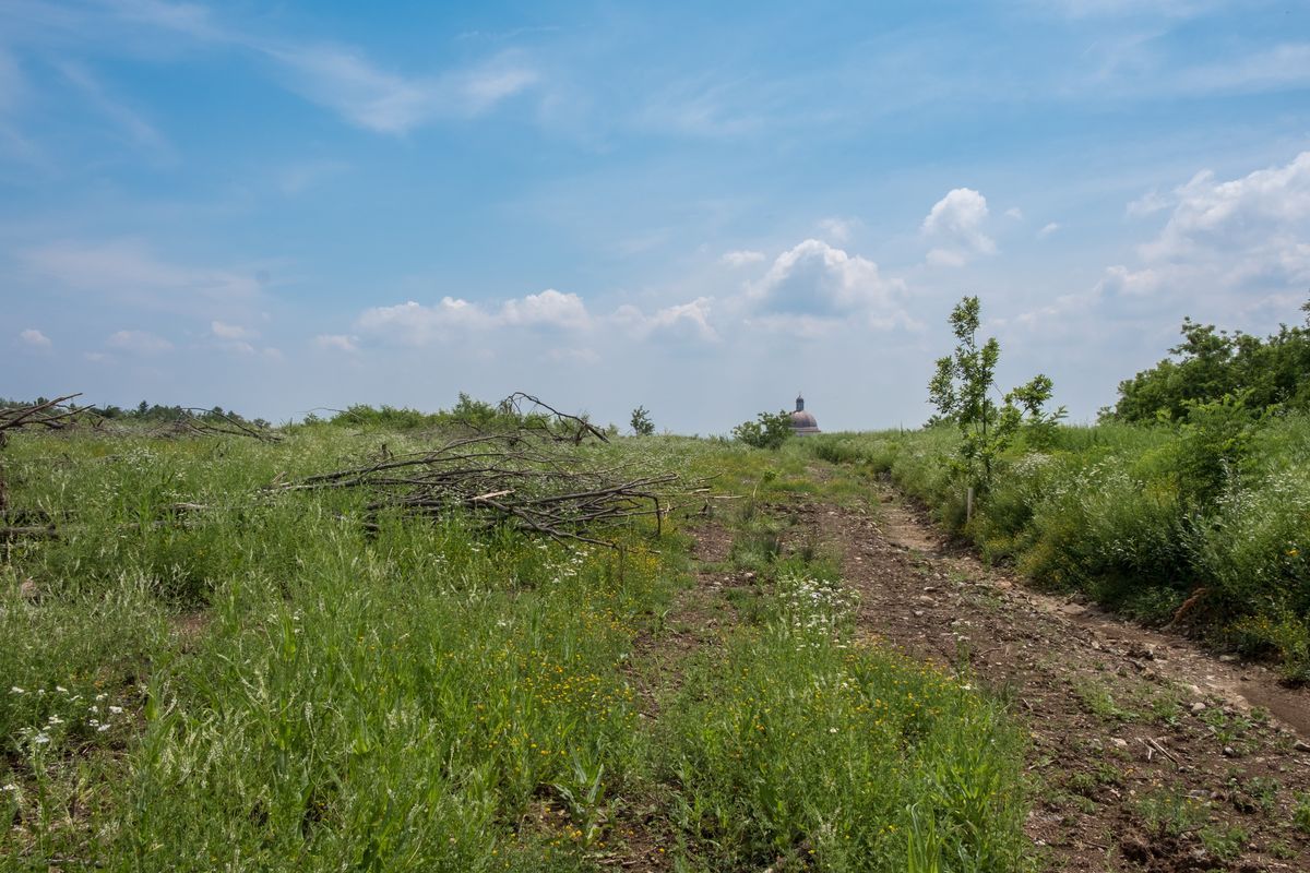 Il paesaggio e l'ambiente — foto 15