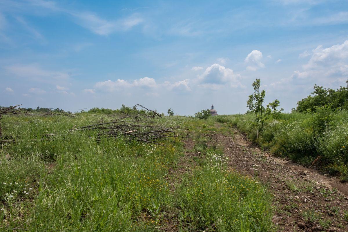 Il paesaggio e l'ambiente — foto 15